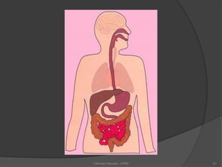 Ciências Naturais - ICRM 21
 