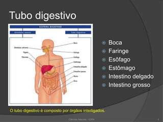 Tubo digestivo
 Boca
 Faringe
 Esôfago
 Estômago
 Intestino delgado
 Intestino grosso
O tubo digestivo é composto por órgãos interligados.
Ciências Naturais - ICRM 4
 