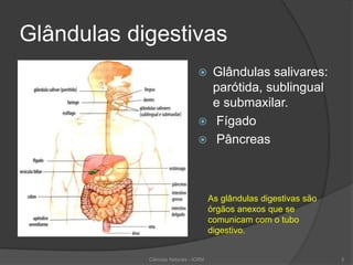 Glândulas digestivas
 Glândulas salivares:
parótida, sublingual
e submaxilar.
 Fígado
 Pâncreas
As glândulas digestivas são
órgãos anexos que se
comunicam com o tubo
digestivo.
Ciências Naturais - ICRM 5
 