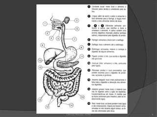 Ciências Naturais - ICRM 9
 