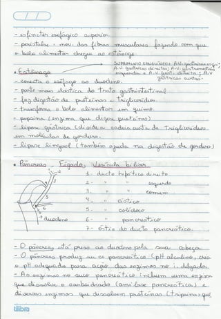 Sistema_Digest_RESUMO