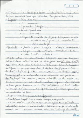 Sistema_Digest_RESUMO