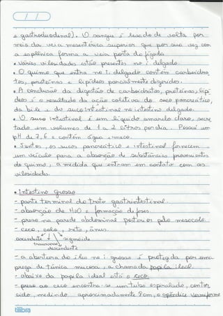 Sistema_Digest_RESUMO