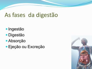 As fases da digestão
 Ingestão
 Digestão
 Absorção
 Ejeção ou Excreção
 