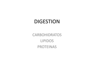 DIGESTION
CARBOHIDRATOS
LIPIDOS
PROTEINAS

 