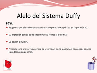 Alelo del Sistema Duffy FYB:  Se genera por el cambio de un aminoácido por Acido aspártico en la posición 42. Su expresión génica es de codominancia frente al alelo FYA. Da origen al Ag Fy b . Presenta una mayor frecuencia de expresión en la población caucásica, asiática (raza blanca en general).  
