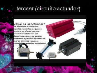 tercera (circuito actuador)
 