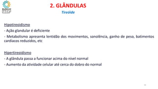 Hipotireoidismo
- Ação glandular é deficiente
- Metabolismo apresenta lentidão dos movimentos, sonolência, ganho de peso, batimentos
cardíacos reduzidos, etc
Hipertireoidismo
- A glândula passa a funcionar acima do nível normal
- Aumento da atividade celular até cerca do dobro do normal
2. GLÂNDULAS
Tireóide
10
 