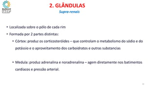 • Localizada sobre o pólo de cada rim
• Formada por 2 partes distintas:
• Córtex: produz os corticosteróides – que controlam o metabolismo do sódio e do
potássio e o aproveitamento dos carboidratos e outras substancias
• Medula: produz adrenalina e noradrenalina – agem diretamente nos batimentos
cardíacos e pressão arterial.
2. GLÂNDULAS
Supra-renais
14
 
