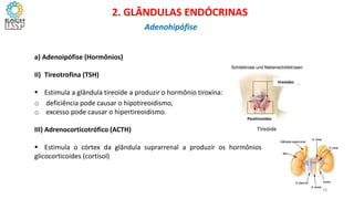 a) Adenoipófise (Hormônios)
II) Tireotrofina (TSH)
 Estimula a glândula tireoide a produzir o hormônio tiroxina:
o deficiência pode causar o hipotireoidismo,
o excesso pode causar o hipertireoidismo.
III) Adrenocorticotrófico (ACTH)
 Estimula o córtex da glândula suprarrenal a produzir os hormônios
glicocorticoides (cortisol)
CIÊNCIAS, 8º Ano do Ensino Fundamental
Glândulas e suas funções
Tireóide
Paratireoides
tireoides
CIÊNCIAS, 8º Ano do Ensino Fundamental
Glândulas e suas funções
CIÊNCIAS, 8º Ano do Ensino Fundamental
Glândulas e suas funções
2. GLÂNDULAS ENDÓCRINAS
Adenohipófise
18
 