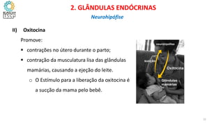 II) Oxitocina
Promove:
 contrações no útero durante o parto;
 contração da musculatura lisa das glândulas
mamárias, causando a ejeção do leite.
o O Estímulo para a liberação da oxitocina é
a sucção da mama pelo bebê.
CIÊNCIAS, 8º Ano do Ensino Fundamental
Glândulas e suas funções
Oxitocina
Glândulas
mamárias
sucção
neurohipófise
CIÊNCIAS, 8º Ano do Ensino Fundamental
Glândulas e suas funções
CIÊNCIAS, 8º Ano do Ensino Fundamental
Glândulas e suas funções
CIÊNCIAS, 8º Ano do Ensino Fundamental
Glândulas e suas funções
CIÊNCIAS, 8º Ano do Ensino Fundamental
Glândulas e suas funções
CIÊNCIAS, 8º Ano do Ensino Fundamental
Glândulas e suas funções
2. GLÂNDULAS ENDÓCRINAS
Neurohipófise
22
 