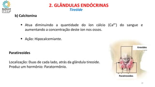 b) Calcitonina
 Atua diminuindo a quantidade do íon cálcio (Ca²+
) do sangue e
aumentando a concentração deste íon nos ossos.
 Ação: Hipocalcemiante.
Paratireoides
Localização: Duas de cada lado, atrás da glândula tireoide.
Produz um hormônio: Paratormônio.
Paratireoides
tireoides
CIÊNCIAS, 8º Ano do Ensino Fundamental
Glândulas e suas funções
CIÊNCIAS, 8º Ano do Ensino Fundamental
Glândulas e suas funções
CIÊNCIAS, 8º Ano do Ensino Fundamental
Glândulas e suas funções
CIÊNCIAS, 8º Ano do Ensino Fundamental
Glândulas e suas funções
CIÊNCIAS, 8º Ano do Ensino Fundamental
Glândulas e suas funções
CIÊNCIAS, 8º Ano do Ensino Fundamental
Glândulas e suas funções
CIÊNCIAS, 8º Ano do Ensino Fundamental
Glândulas e suas funções
CIÊNCIAS, 8º Ano do Ensino Fundamental
Glândulas e suas funções
2. GLÂNDULAS ENDÓCRINAS
Tireóide
28
 