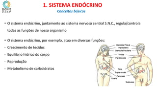 • O sistema endócrino, juntamente ao sistema nervoso central S.N.C., regula/controla
todas as funções de nosso organismo
• O sistema endócrino, por exemplo, atua em diversas funções:
- Crescimento de tecidos
- Equilíbrio hídrico do corpo
- Reprodução
- Metabolismo de carboidratos
1. SISTEMA ENDÓCRINO
Conceitos básicos
3
 