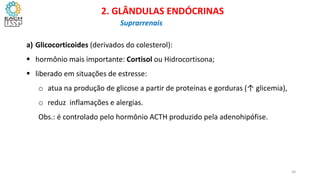 a) Glicocorticoides (derivados do colesterol):
 hormônio mais importante: Cortisol ou Hidrocortisona;
 liberado em situações de estresse:
o atua na produção de glicose a partir de proteínas e gorduras (↑ glicemia),
o reduz inflamações e alergias.
Obs.: é controlado pelo hormônio ACTH produzido pela adenohipófise.
CIÊNCIAS, 8º Ano do Ensino Fundamental
Glândulas e suas funções
CIÊNCIAS, 8º Ano do Ensino Fundamental
Glândulas e suas funções
CIÊNCIAS, 8º Ano do Ensino Fundamental
Glândulas e suas funções
CIÊNCIAS, 8º Ano do Ensino Fundamental
Glândulas e suas funções
CIÊNCIAS, 8º Ano do Ensino Fundamental
Glândulas e suas funções
CIÊNCIAS, 8º Ano do Ensino Fundamental
Glândulas e suas funções
CIÊNCIAS, 8º Ano do Ensino Fundamental
Glândulas e suas funções
CIÊNCIAS, 8º Ano do Ensino Fundamental
Glândulas e suas funções
CIÊNCIAS, 8º Ano do Ensino Fundamental
Glândulas e suas funções
CIÊNCIAS, 8º Ano do Ensino Fundamental
Glândulas e suas funções
2. GLÂNDULAS ENDÓCRINAS
Suprarrenais
30
 