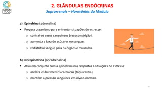 a) Epinefrina (adrenalina)
 Prepara organismo para enfrentar situações de estresse:
o contrai os vasos sanguíneos (vasoconstrição),
o aumenta a taxa de açúcares no sangue,
o redistribui sangue para os órgãos e músculos.
b) Norepinefrina (noradrenalina)
 Atua em conjunto com a epinefrina nas respostas a situações de estresse:
o acelera os batimentos cardíacos (taquicardia),
o mantém a pressão sanguínea em níveis normais.
CIÊNCIAS, 8º Ano do Ensino Fundamental
Glândulas e suas funções
CIÊNCIAS, 8º Ano do Ensino Fundamental
Glândulas e suas funções
CIÊNCIAS, 8º Ano do Ensino Fundamental
Glândulas e suas funções
CIÊNCIAS, 8º Ano do Ensino Fundamental
Glândulas e suas funções
CIÊNCIAS, 8º Ano do Ensino Fundamental
Glândulas e suas funções
CIÊNCIAS, 8º Ano do Ensino Fundamental
Glândulas e suas funções
CIÊNCIAS, 8º Ano do Ensino Fundamental
Glândulas e suas funções
CIÊNCIAS, 8º Ano do Ensino Fundamental
Glândulas e suas funções
CIÊNCIAS, 8º Ano do Ensino Fundamental
Glândulas e suas funções
CIÊNCIAS, 8º Ano do Ensino Fundamental
Glândulas e suas funções
CIÊNCIAS, 8º Ano do Ensino Fundamental
Glândulas e suas funções
2. GLÂNDULAS ENDÓCRINAS
Suprarrenais – Hormônios da Medula
32
 