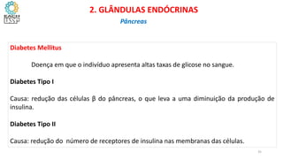 Diabetes Mellitus
Doença em que o indivíduo apresenta altas taxas de glicose no sangue.
Diabetes Tipo I
Causa: redução das células β do pâncreas, o que leva a uma diminuição da produção de
insulina.
Diabetes Tipo II
Causa: redução do número de receptores de insulina nas membranas das células.
CIÊNCIAS, 8º Ano do Ensino Fundamental
Glândulas e suas funções
CIÊNCIAS, 8º Ano do Ensino Fundamental
Glândulas e suas funções
CIÊNCIAS, 8º Ano do Ensino Fundamental
Glândulas e suas funções
CIÊNCIAS, 8º Ano do Ensino Fundamental
Glândulas e suas funções
CIÊNCIAS, 8º Ano do Ensino Fundamental
Glândulas e suas funções
CIÊNCIAS, 8º Ano do Ensino Fundamental
Glândulas e suas funções
CIÊNCIAS, 8º Ano do Ensino Fundamental
Glândulas e suas funções
CIÊNCIAS, 8º Ano do Ensino Fundamental
Glândulas e suas funções
CIÊNCIAS, 8º Ano do Ensino Fundamental
Glândulas e suas funções
CIÊNCIAS, 8º Ano do Ensino Fundamental
Glândulas e suas funções
CIÊNCIAS, 8º Ano do Ensino Fundamental
Glândulas e suas funções
CIÊNCIAS, 8º Ano do Ensino Fundamental
Glândulas e suas funções
2. GLÂNDULAS ENDÓCRINAS
Pâncreas
35
 