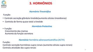 Função:
• Controle secreção glândula tireóide(aumento células tireoidianas)
• Controla de forma quase total a tireóide
• Função:
Crescimento das mamas
Aumento da função secretora
3. HORMÔNIOS
Hormônio Tireotrófico
Hormônio Prolactina
Função:
Controle secreção hormônios supra-renais (aumento células supra-renais)
Controla atividade das supra-renais
Hormônio Hormônio adrenocorticotrófico (ACTH)
39
 