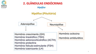 Hipófise (Pituitária)
Adenoipófise Neuroipófise
Hormônio crescimento (GH)
Hormônio tireotrófico (TSH)
Hormônio adrenocorticotrófico (ACTH)
Hormônio prolactina
Hormônio foliculo-estimulante (FSH)
Hormônio luteinizante (LH)
Hormônio ocitocina
Hormônio antidiurético
2. GLÂNDULAS ENDÓCRINAS
Hipófise
8
 