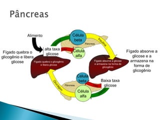 Célula
                                   beta

                      alta taxa   Célula
 Fígado quebra o                                          Fígado absorve a
                       glicose     alfa
glicogênio e libera                                          glicose e a
      glicose                                               armazena na
                                                              forma de
                                                             glicogênio
                                    Célula
                                     beta    Baixa taxa
                                              glicose
                                    Célula
                                     alfa
 