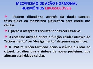 MECANISMO DE AÇÃO HORMONAL
         HORMÔNIOS LIPOSSOLÚVEIS
      Podem difundir-se através da dupla camada
fosfolipídica da membrana plasmática para entrar nas
células.
 Ligação a receptores no interior das células-alvo.
 O receptor ativado altera a função celular através do
“acionamento” ou “desligamento” de genes específicos.
 O RNA-m recém-formado deixa o núcleo e entra no
citosol. Lá, direciona a síntese de novas proteínas, que
alteram a atividade celular.
 