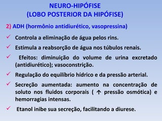 NEURO-HIPÓFISE
        (LOBO POSTERIOR DA HIPÓFISE)
2) ADH (hormônio antidiurético, vasopressina)
 Controla a eliminação de água pelos rins.
 Estimula a reabsorção de água nos túbulos renais.
     Efeitos: diminuição do volume de urina excretado
    (antidiurético); vasoconstrição.
 Regulação do equilíbrio hídrico e da pressão arterial.
 Secreção aumentada: aumento na concentração de
  soluto nos fluidos corporais (  pressão osmótica) e
  hemorragias intensas.
 Etanol inibe sua secreção, facilitando a diurese.
 