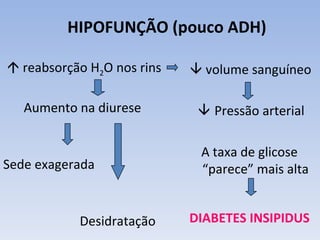 HIPOFUNÇÃO (pouco ADH)

 reabsorção H2O nos rins    volume sanguíneo

   Aumento na diurese         Pressão arterial

                             A taxa de glicose
Sede exagerada               “parece” mais alta


           Desidratação     DIABETES INSIPIDUS
 