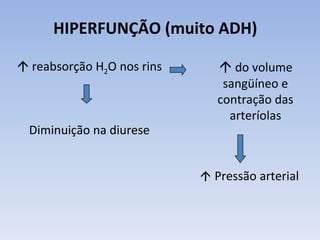 HIPERFUNÇÃO (muito ADH)

 reabsorção H2O nos rins       do volume
                                sangüíneo e
                               contração das
                                 arteríolas
  Diminuição na diurese


                             Pressão arterial
 