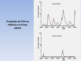 Produção de STH na
 infância e na fase
      adulta
 