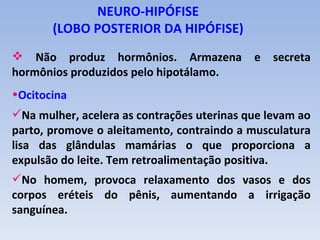 NEURO-HIPÓFISE
       (LOBO POSTERIOR DA HIPÓFISE)
 Não produz hormônios. Armazena            e   secreta
hormônios produzidos pelo hipotálamo.
•Ocitocina
Na mulher, acelera as contrações uterinas que levam ao
parto, promove o aleitamento, contraindo a musculatura
lisa das glândulas mamárias o que proporciona a
expulsão do leite. Tem retroalimentação positiva.
No homem, provoca relaxamento dos vasos e dos
corpos eréteis do pênis, aumentando a irrigação
sanguínea.
 