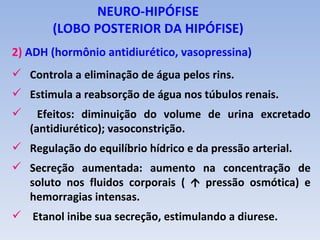NEURO-HIPÓFISE
        (LOBO POSTERIOR DA HIPÓFISE)
2) ADH (hormônio antidiurético, vasopressina)
 Controla a eliminação de água pelos rins.
 Estimula a reabsorção de água nos túbulos renais.
     Efeitos: diminuição do volume de urina excretado
    (antidiurético); vasoconstrição.
 Regulação do equilíbrio hídrico e da pressão arterial.
 Secreção aumentada: aumento na concentração de
  soluto nos fluidos corporais (  pressão osmótica) e
  hemorragias intensas.
 Etanol inibe sua secreção, estimulando a diurese.
 