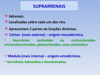 SUPRARRENAIS
 Adrenais.
 Localizadas sobre cada um dos rins.
 Apresentam 2 partes de funções distintas:
 Córtex (mais externa) – origem mesodérmica.
•    Hormônios       corticoides      ou      corticosteroides
(mineralocorticoides, glicocorticoides, sexo corticoides)


Medula (mais interna) – origem ectodérmica.
• Hormônios Adrenalina e Noradrenalina
 