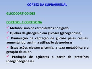 CÓRTEX DA SUPRARRENAL

GLICOCORTICOIDES

CORTISOL E CORTISONA
 Metabolismo de carboidratos no fígado.
 Quebra de glicogênio em glicoses (glicogenólise).
 Diminuição da captação de glicose pelas células,
aumentando, assim, a utilização de gorduras.
 Essas ações elevam glicemia, a taxa metabólica e a
geração de calor.
 Produção de açúcares a partir de proteínas
(neoglineogênese).
 