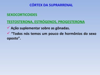 CÓRTEX DA SUPRARRENAL

SEXOCORTICOIDES
TESTOSTERONA, ESTRÓGENOS, PROGESTERONA
 Ação suplementar sobre as gônadas.
 “Todos nós temos um pouco de hormônios do sexo
oposto”.
 