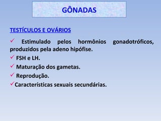 GÔNADAS

TESTÍCULOS E OVÁRIOS
 Estimulado pelos hormônios gonadotróficos,
produzidos pela adeno hipófise.
 FSH e LH.
 Maturação dos gametas.
 Reprodução.
Características sexuais secundárias.
 