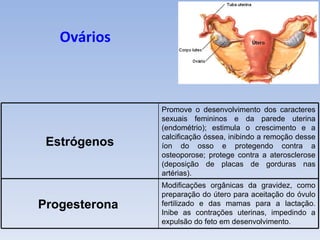 Ovários



               Promove o desenvolvimento dos caracteres
               sexuais femininos e da parede uterina
               (endométrio); estimula o crescimento e a
               calcificação óssea, inibindo a remoção desse
 Estrógenos    íon do osso e protegendo contra a
               osteoporose; protege contra a aterosclerose
               (deposição de placas de gorduras nas
               artérias).
               Modificações orgânicas da gravidez, como
               preparação do útero para aceitação do óvulo
Progesterona   fertilizado e das mamas para a lactação.
               Inibe as contrações uterinas, impedindo a
               expulsão do feto em desenvolvimento.
 