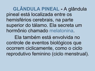 GLÂNDULA PINEAL - A glândula
pineal está localizada entre os
hemisférios cerebrais, na parte
superior do tálamo. Ela secreta um
hormônio chamado melatonina.
Ela também está envolvida no
controle de eventos biológicos que
ocorrem ciclicamente, como o ciclo
reprodutivo feminino (ciclo menstrual).