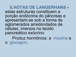 ILHOTAS DE LANGERHANS -
estas estruturas constituem a
porção endócrina do pâncreas e
apresentam-se sob a forma de
aglomerados arredondados de
células, imersos no tecido
pancreático exócrino.
Produz hormônios: a insulina e
o glucagon.