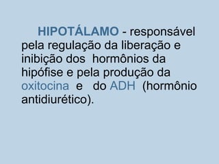 HIPOTÁLAMO - responsável
pela regulação da liberação e
inibição dos hormônios da
hipófise e pela produção da
oxitocina e do ADH (hormônio
antidiurético).