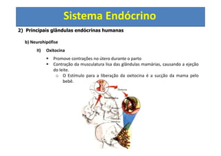 Sistema Endócrino
2) Principais glândulas endócrinas humanas
b) Neurohipófise
II) Oxitocina
Promove contrações no útero durante o parto
Contração da musculatura lisa das glândulas mamárias, causando a ejeção
do leite.
o O Estímulo para a liberação da oxitocina é a sucção da mama pelo
bebê.
 
