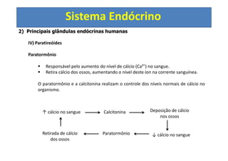 Sistema Endócrino
2) Principais glândulas endócrinas humanas
IV) Paratireóides
Paratormônio
Responsável pelo aumento do nível de cálcio (Ca²+
) no sangue.
Retira cálcio dos ossos, aumentando o nível deste íon na corrente sanguínea.
O paratormônio e a calcitonina realizam o controle dos níveis normais de cálcio no
organismo.
↑ cálcio no sangue Calcitonina Deposição de cálcio
nos ossos
↓ cálcio no sangueParatormônioRetirada de cálcio
dos ossos
 