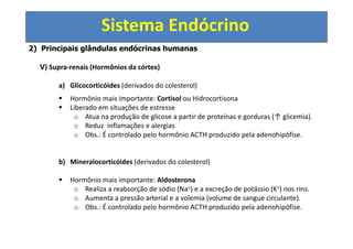 Sistema Endócrino
2) Principais glândulas endócrinas humanas
V) Supra-renais (Hormônios da córtex)
a) Glicocorticóides (derivados do colesterol)
Hormônio mais importante: Cortisol ou Hidrocortisona
Liberado em situações de estresse
o Atua na produção de glicose a partir de proteínas e gorduras (↑ glicemia).
o Reduz inflamações e alergias
o Obs.: É controlado pelo hormônio ACTH produzido pela adenohipófise.
b) Mineralocorticóides (derivados do colesterol)
Hormônio mais importante: Aldosterona
o Realiza a reabsorção de sódio (Na+) e a excreção de potássio (K+) nos rins.
o Aumenta a pressão arterial e a volemia (volume de sangue circulante).
o Obs.: É controlado pelo hormônio ACTH produzido pela adenohipófise.
 