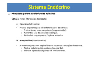 Sistema Endócrino
2) Principais glândulas endócrinas humanas
V) Supra-renais (Hormônios da medula)
a) Epinefrina (adrenalina)
Prepara organismo para enfrentar situações de estresse.
o Contração dos vasos sanguíneos (vasoconstrição).
o Aumenta a taxa de açúcares no sangue.
o Redistribui sangue para os órgãos e músculos.
b) Norepinefrina (noradrenalina)
Atua em conjunto com a epinefrina nas respostas à situações de estresse.
o Acelera os batimentos cardíacos (taquicardia).
o Mantém a pressão sanguínea em níveis normais.
 