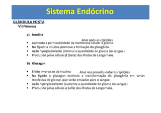 Sistema Endócrino
GLÂNDULA MISTA
VI) Pâncreas
a) Insulina
Aumenta a permeabilidade da membrana celular à glicose.
No fígado a insulina promove a formação do glicogênio.
Ação hipoglicemiante (diminui a quantidade de glicose no sangue).
Produzido pelas células β (beta) das ilhotas de Langerhans.
b) Glucagon
Efeito inverso ao da insulina
No fígado o glucagon estimula a transformação do glicogênio em várias
moléculas de glicose, que serão enviadas para o sangue.
Ação hiperglicemiante (aumenta a quantidade de glicose no sangue).
Produzido pelas células α (alfa) das ilhotas de Langerhans.
Atua após as refeições
Atua nos períodos entre as refeições
 