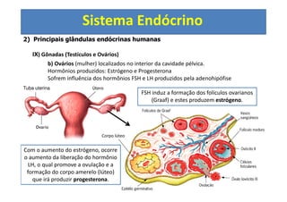 Sistema Endócrino
VIII) FÍGADO (GLÂNDULA MISTA)
 