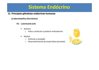 Sistema Endócrino
2) Principais glândulas endócrinas humanas
a) Adenohipófise (Hormônios)
VI) Luteinizante (LH)
Homem
o Induz o testículo a produzir testosterona
Mulher
o Estimula a ovulação
o Desenvolvimento do corpo lúteo (amarelo)
 