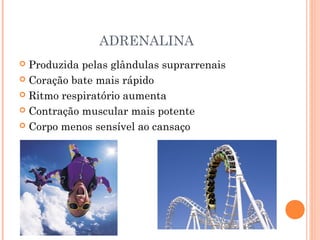 ADRENALINA
 Produzida pelas glândulas suprarrenais
 Coração bate mais rápido
 Ritmo respiratório aumenta
 Contração muscular mais potente
 Corpo menos sensível ao cansaço
 