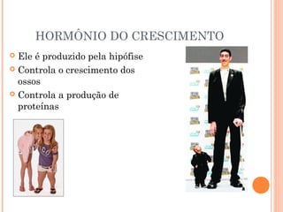 HORMÔNIO DO CRESCIMENTO
 Ele é produzido pela hipófise
 Controla o crescimento dos
ossos
 Controla a produção de
proteínas
 