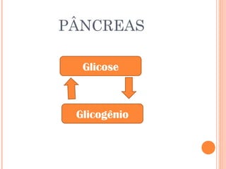 PÂNCREAS
Glicose
Glicogênio
 