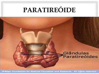 PARATIREÓIDE
 