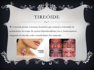 TIREÓIDE
 A tireoide produz a tiroxina, hormônio que controla a velocidade de
metabolismo do corpo. Se ocorrer hipertireoidismo, isto é, funcionamento
exagerado da tireoide, todo o metabolismo fica acelerado.
 